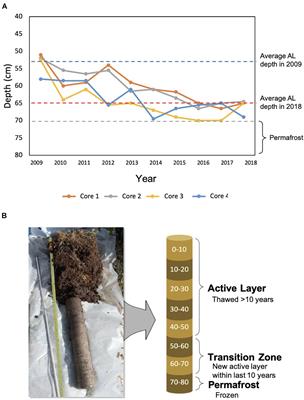 The Transition From Stochastic to Deterministic Bacterial Community Assembly During Permafrost <mark class="highlighted">Thaw</mark> Succession